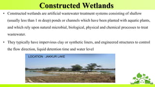 Constructed Wetlands
• Constructed wetlands are artificial wastewater treatment systems consisting of shallow
(usually less than 1 m deep) ponds or channels which have been planted with aquatic plants,
and which rely upon natural microbial, biological, physical and chemical processes to treat
wastewater.
• They typically have impervious clay or synthetic liners, and engineered structures to control
the flow direction, liquid detention time and water level
LOCATION : JAKKUR LAKE
 