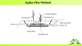 Surface Flow Wetlands
 