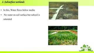 • In this, Water flows below media.
• No water on soil surface but subsoil is
saturated
2. Subsurface wetlands
*Photo courtesy of USGS
 