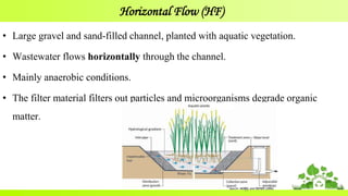 Horizontal Flow (HF)
• Large gravel and sand-filled channel, planted with aquatic vegetation.
• Wastewater flows horizontally through the channel.
• Mainly anaerobic conditions.
• The filter material filters out particles and microorganisms degrade organic
matter.
17Source: MOREL and DIENER (2006)
 
