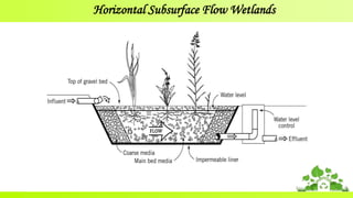 Horizontal Subsurface Flow Wetlands
 