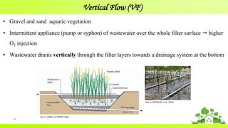 Vertical Flow (VF)
• Gravel and sand aquatic vegetation
• Intermittent appliance (pump or syphon) of wastewater over the whole filter surface  higher
O2 injection
• Wastewater drains vertically through the filter layers towards a drainage system at the bottom
19
Source: MOREL and DIENER (2006)
Source: HOFFMANN et al. (2010)
 