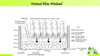Vertical Flow Wetland
 