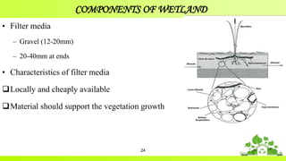COMPONENTS OF WETLAND
• Filter media
– Gravel (12-20mm)
– 20-40mm at ends
• Characteristics of filter media
Locally and cheaply available
Material should support the vegetation growth
24
 