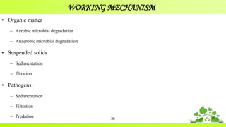 WORKING MECHANISM
• Organic matter
– Aerobic microbial degradation
– Anaerobic microbial degradation
• Suspended solids
– Sedimentation
– filtration
• Pathogens
– Sedimentation
– Filtration
– Predation 28
 