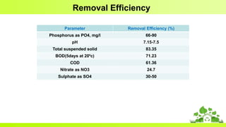 Removal Efficiency
Parameter Removal Efficiency (%)
Phosphorus as PO4, mg/l 66-90
pH 7.15-7.5
Total suspended solid 83.35
BOD(5days at 20⁰c) 71.23
COD 61.36
Nitrate as NO3 24.7
Sulphate as SO4 30-50
 
