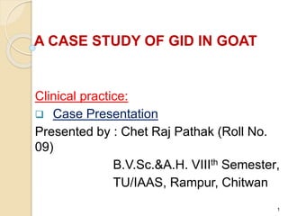 A CASE STUDY OF GID IN GOAT
Clinical practice:
 Case Presentation
Presented by : Chet Raj Pathak (Roll No.
09)
B.V.Sc.&A.H. VIIIth Semester,
TU/IAAS, Rampur, Chitwan
1
 