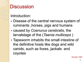 A CASE STUDY OF COENUROSIS IN GOAT VTH CHITWAN | PPTX