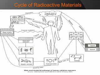 Cycle of Radioactive Materials 
 