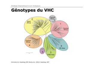 Stratégie diagnostique & suivi virologique


Génotypes du VHC
Génotypes
                                                                           Central
                                                                           Africa
                                                                                7




Simmonds et al. Hepatology 2005; Murphy et al., AASLD, Hepatology, 2007.
 