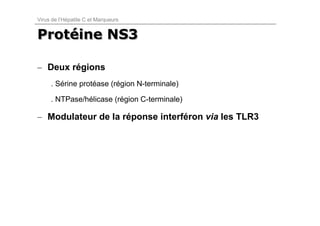 Virus de l’Hépatite C et Marqueurs


Protéine NS3
Protéine

– Deux régions
     . Sérine protéase (région N-terminale)

     . NTPase/hélicase (région C-terminale)

– Modulateur de la réponse interféron via les TLR3
 