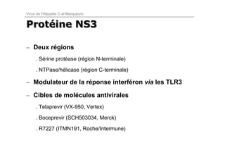 Virus de l’Hépatite C et Marqueurs


Protéine NS3
Protéine

– Deux régions
     . Sérine protéase (région N-terminale)

     . NTPase/hélicase (région C-terminale)

– Modulateur de la réponse interféron via les TLR3

– Cibles de molécules antivirales
     . Telaprevir (VX-950, Vertex)

     . Boceprevir (SCH503034, Merck)

     . R7227 (ITMN191, Roche/Intermune)
 