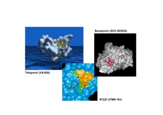 Boceprevir (SCH 503034)




Telaprevir (VX-950)




                         R7227 (ITMN 191)
 