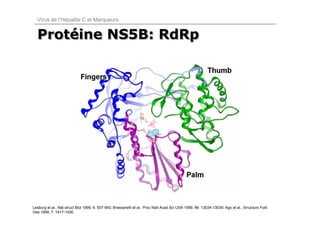 Virus de l’Hépatite C et Marqueurs


  Protéine NS5B: RdRp
  Protéine




Lesburg et al., Nat struct Biol 1999, 6: 937-943; Bressanelli et al., Proc Natl Acad Sci USA 1999, 96: 13034-13039; Ago et al., Srructure Fold
Des 1999, 7: 1417-1426.
 