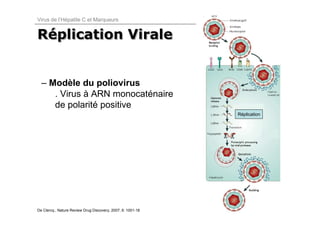 Virus de l’Hépatite C et Marqueurs


Réplication Virale
Réplication


  – Modèle du poliovirus
     . Virus à ARN monocaténaire
     de polarité positive
                                                             Réplication




De Clercq., Nature Review Drug Discovery, 2007; 6: 1001-18
 