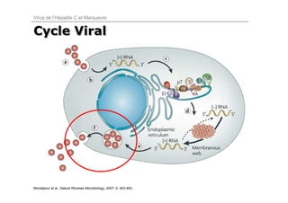 Virus de l’Hépatite C et Marqueurs


Cycle Viral




Moradpour et al., Nature Reviews Microbiology, 2007; 5: 453-463.
 