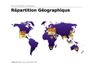 Virus de l’Hépatite C et Marqueurs


Répartition Géographique
Répartition Géographique



                                                         1a,




Adapted from Fang J., et al. J. Clin Liver Dis., 1997.
 