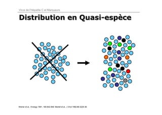 Virus de l’Hépatite C et Marqueurs


Distribution en Quasi-espèce
                Quasi-espèce




Weiner et al., Virology 1991; 180:842-848; Martell et al., J Virol 1992;66:3225-36.
 