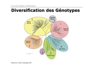 Virus de l’Hépatite C et Marqueurs


Diversification des Génotypes
                    Génotypes
                                          Central
                                          Africa
                                               7




Murphy et al., AASLD, Hepatology, 2007.
 