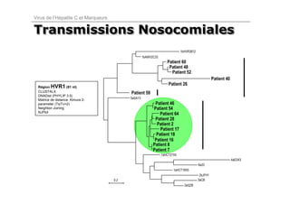 Virus de l’Hépatite C et Marqueurs


Transmissions Nosocomiales
                                                                            1bHVR3812
                                                    1bAWV2C33
                                                                   Patient 60
                                                                    Patient 48
                                                                     Patient 52
                                                                                                  Patient 40
                                                                    Patient 26
  Région  HVR1      (81 nt)
  CLUSTALX                                 Patient 59
  DNADist (PHYLIP 3.5)
                                           5aSA13
  Matrice de distance: Kimura 2-
  parameter (Ts/Tv=2)                                      Patient 46
  Neighbor-Joining                                        Patient 54
  NJPlot
                                                              Patient 64
                                                           Patient 28
                                                            Patient 2
                                                              Patient 17
                                                            Patient 18
                                                           Patient 16
                                                          Patient 8
                                                          Patient 7
                                                                1aHCT27X5
                                                                                                               4aED43
                                                                                        6a33
                                                                       1aHCT18X5
                                                                                         2bJFH1
                                     0.2                                                3aCB
                                                                              2aQ2B
 