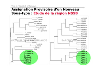 Virus de l’Hépatite C et Marqueurs

Assignation Provisoire d’un Nouveau
Sous-type : Etude de la région NS5B
                                            1c_AY051292                          1c_AY051292
                                               1c_D14853                         1c_D14853
                                               1a_M62321                         1a_M62321
                                              1a_M67463                          1a_M67463
                                                     1k_AY434112                 1k_AY434112
                                                    1k_AY434122                  1k_AY434122
                                                1j_AY434128                      1j_AY434128
                                                      1j_AY434158                1j_AY434158
                   1h_AY434131                                                   1g_AF271820
                1i_AY434119                                                      1g_AF271822
                          1b_D90208                                              1e_AY894555
                                1b_M58335                                        1b_D90208
MAXIMUM DE VRAISEMBLANCE      1d_L39299                             PARCIMONIE   1b_M58335
                                  1d_L39302                                      1d_L39299
                                            1g_AF271820                          1d_L39302
                                          1g_AF271822                            1i_AY434119
                                     1e_AY894555                                 1h_AY434131
                                   1f_L38350                                     1f_L38350
                     Patient 46                                                  Patient 46
                     Patient 64                                                  Patient 64
                   Patient 7                                                     Patient 8
                  Patient 8                                                      Patient 7
                  Patient 17                                                     Patient 17
0.05
                 Patient 18                                                      Patient 18
                 Patient 16                                                      Patient 16
 