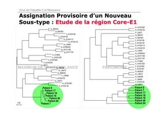 Virus de l’Hépatite C et Marqueurs

  Assignation Provisoire d’un Nouveau
  Sous-type : Etude de la région Core-E1
                                                                                  1h_AY257087
                               1a_M62321
                                                                                  1h_AY434132
                                    1a_M67463
                                                                                  1f_L38371
                                                    1j_AY434106
                                                                                  1a_M62321
                                          1j_AY434129
                                                                                  1a_M67463
                                                 1k_AY434113
                                                                                  1j_AY434106
                                                       1k_AY434123
                                                                                  1j_AY434129
                                                 1e_L38361                        1k_AY434113
                                             1e_AY894553
                                                                                  1k_AY434123
                                             1g_AF271798
                                                                                  1e_L38361
                                                 1g_AF271797
                                                                                  1e_AY894553
                                  1c_D14853
                                                                                  1g_AF271798
                                 1c_AY051292
                                                                                  1g_AF271797
                             1l_AY257083
                                                                                  1c_D14853
                       1l_AY257091
                                                                                  1c_AY051292
                   1f_L38371
                                                                                  1l_AY257083
MAXIMUM DE VRAISEMBLANCE               1b_D90208                     PARCIMONIE   1l_AY257091
                                          1b_L38372
                                                                                  1b_M58335
                                         1b_M58335
                                                                                  1b_L38372
                                              1i_L48495
                                                                                  1b_D90208
                                      1i_AY434120
                                                                                  1i_L48495
                                     1d_L38377
                                                                                  1i_AY434120
                                               1h_AY257087
                                                                                  1d_L38377
                                           1h_AY434132
                     Patient 8                                                    Patient 8
                       Patient 17                                                 Patient 7
                         Patient 16                                               Patient 17
                        Patient 18                                                Patient 16
                            Patient 46                                            Patient 18
                          Patient 64                                              Patient 46
0.02                                                                              Patient 64
                    Patient 7
 