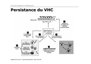 Virus de l’Hépatite C et Marqueurs


Persistance du VHC




Adapted from Ferrari C, Gasroenterology 2007; 132(2): 801-805
 