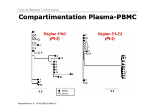 Virus de l’Hépatite C et Marqueurs


Compartimentation Plasma-PBMC
                  Plasma-PBMC

                             Région 5’NC        Région E1-E2
                                (Pt-3)             (Pt-3)




Roque-Afonso et al., J Virol 2005;79:6349-57)
 