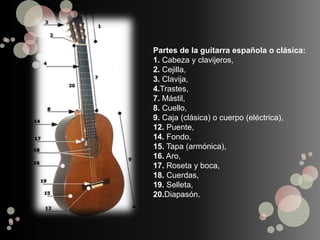Partes de la guitarra española o clásica:
1. Cabeza y clavijeros,
2. Cejilla,
3. Clavija,
4.Trastes,
7. Mástil,
8. Cuello,
9. Caja (clásica) o cuerpo (eléctrica),
12. Puente,
14. Fondo,
15. Tapa (armónica),
16. Aro,
17. Roseta y boca,
18. Cuerdas,
19. Selleta,
20.Diapasón.
 