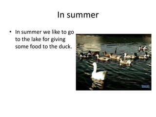 In summer
• In summer we like to go
  to the lake for giving
  some food to the duck.
 