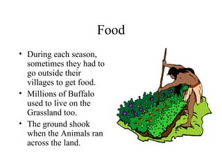 Food During each season, sometimes they had to go outside their villages to get food. Millions of Buffalo used to live on the Grassland too. The ground shook when the Animals ran across the land. 