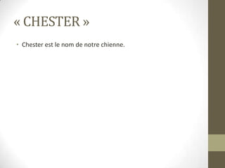 « CHESTER »Chester est le nom de notre chienne.