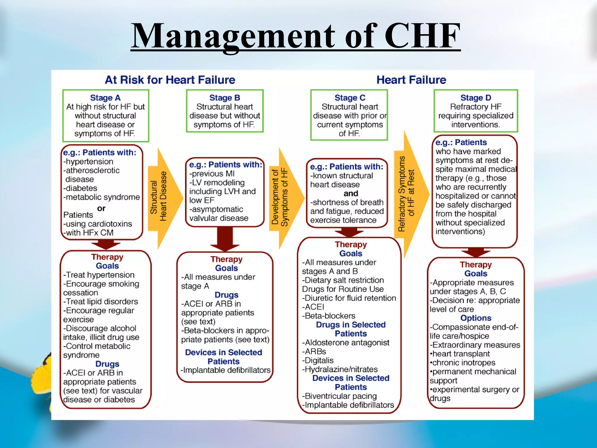 Management of CHF 