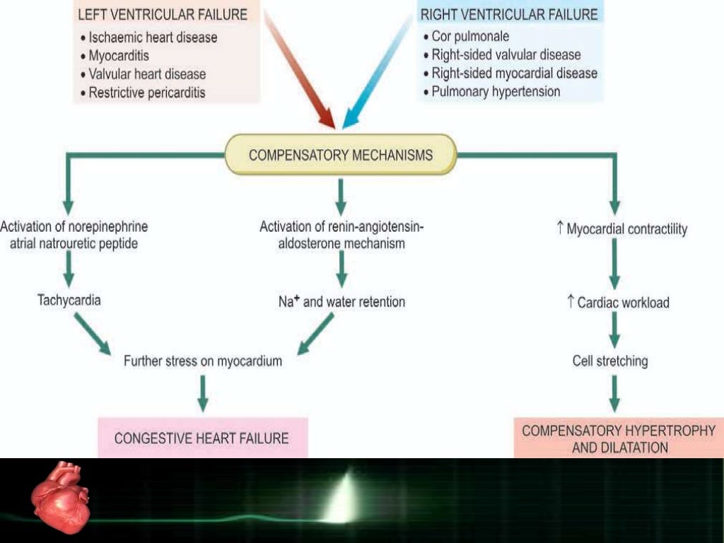 Drugs used in Congestive heart failure