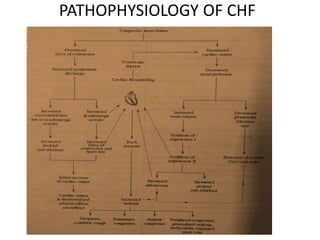 Congestive Heart Failure pharmacotherpeutics | PPTX