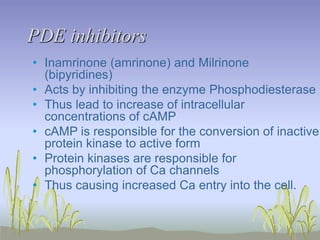 PDE inhibitors
• Inamrinone (amrinone) and Milrinone
(bipyridines)
• Acts by inhibiting the enzyme Phosphodiesterase
• Thus lead to increase of intracellular
concentrations of cAMP
• cAMP is responsible for the conversion of inactive
protein kinase to active form
• Protein kinases are responsible for
phosphorylation of Ca channels
• Thus causing increased Ca entry into the cell.
 