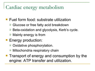 Cardiac energy metabolism Fuel form food: substrate utilization Glucose or free fatty acid breakdown Beta-oxidation and glycolysis, Kerb’s cycle. Mainly energy is from  Energy production: Oxidative phosphorylation. Mitochondria respiratory chain Transport of energy and consumption by the engine: ATP transfer and utilization. 