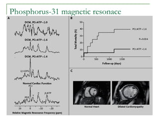 Phosphorus-31 magnetic resonace 