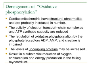 Derangement of  “Oxidative phosphorylation” Cardiac mitochondria have  structural abnormalitie  and are probably increased in number. The activity of  electron transport–chain complexes  and  ATP synthase capacity  are reduced The regulation of  oxidative phosphorylation  by the phosphate acceptors ADP, AMP, and creatine is impaired The levels of  uncoupling proteins  may be increased. Result in a substantial reduction of oxygen consumption and energy production in the failing myocardium. 