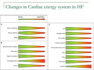 Changes in Cardiac energy system in HF  
