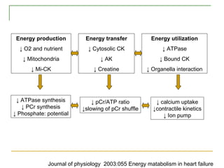 Energy production ↓ O2 and nutrient  ↓ Mitochondria ↓ Mi-CK Energy transfer ↓ Cytosolic CK ↓ AK ↓ Creatine Energy utilization ↓  ATPase ↓  Bound CK ↓  Organella interaction ↓  ATPase synthesis ↓  PCr synthesis ↓  Phosphate: potential ↓  pCr/ATP ratio ↓ slowing of pCr shuffle ↓ calcium uptake ↓contractile kinetics ↓ Ion pump Journal of physiology  2003:055 Energy matabolism in heart failure 