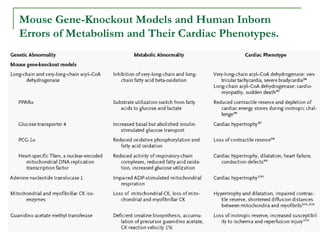 Mouse Gene-Knockout Models and Human Inborn Errors of Metabolism and Their Cardiac Phenotypes. 