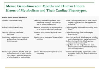 Mouse Gene-Knockout Models and Human Inborn Errors of Metabolism and Their Cardiac Phenotypes. 