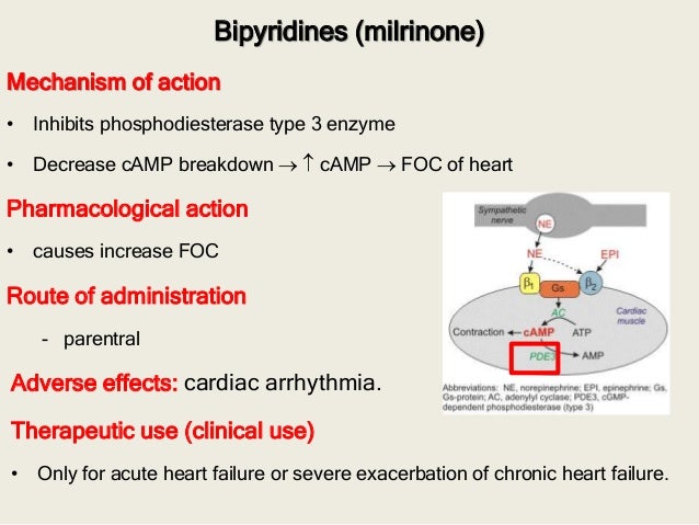 Drug therapy of congestive heart failure Drug therapy of congestive heart failure