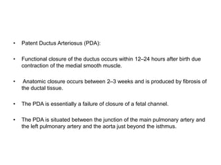 • Patent Ductus Arteriosus (PDA):
• Functional closure of the ductus occurs within 12–24 hours after birth due
contraction of the medial smooth muscle.
• Anatomic closure occurs between 2–3 weeks and is produced by fibrosis of
the ductal tissue.
• The PDA is essentially a failure of closure of a fetal channel.
• The PDA is situated between the junction of the main pulmonary artery and
the left pulmonary artery and the aorta just beyond the isthmus.
 