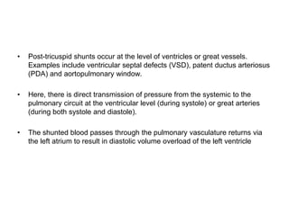 • Post-tricuspid shunts occur at the level of ventricles or great vessels.
Examples include ventricular septal defects (VSD), patent ductus arteriosus
(PDA) and aortopulmonary window.
• Here, there is direct transmission of pressure from the systemic to the
pulmonary circuit at the ventricular level (during systole) or great arteries
(during both systole and diastole).
• The shunted blood passes through the pulmonary vasculature returns via
the left atrium to result in diastolic volume overload of the left ventricle
 