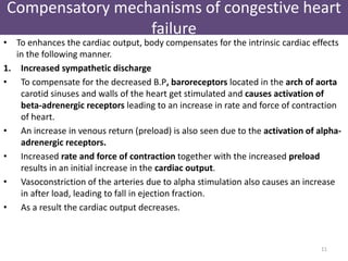 Compensatory mechanisms of congestive heart 
failure 
• To enhances the cardiac output, body compensates for the intrinsic cardiac effects 
in the following manner. 
1. Increased sympathetic discharge 
• To compensate for the decreased B.P, baroreceptors located in the arch of aorta 
carotid sinuses and walls of the heart get stimulated and causes activation of 
beta-adrenergic receptors leading to an increase in rate and force of contraction 
of heart. 
• An increase in venous return (preload) is also seen due to the activation of alpha-adrenergic 
receptors. 
• Increased rate and force of contraction together with the increased preload 
results in an initial increase in the cardiac output. 
• Vasoconstriction of the arteries due to alpha stimulation also causes an increase 
in after load, leading to fall in ejection fraction. 
• As a result the cardiac output decreases. 
11 
 