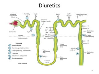 Diuretics 
18 
 
