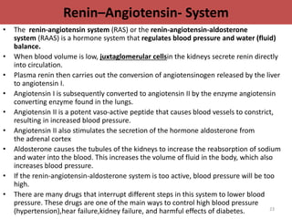 Renin–Angiotensin- System 
• The renin-angiotensin system (RAS) or the renin-angiotensin-aldosterone 
system (RAAS) is a hormone system that regulates blood pressure and water (fluid) 
balance. 
• When blood volume is low, juxtaglomerular cellsin the kidneys secrete renin directly 
into circulation. 
• Plasma renin then carries out the conversion of angiotensinogen released by the liver 
to angiotensin I. 
• Angiotensin I is subsequently converted to angiotensin II by the enzyme angiotensin 
converting enzyme found in the lungs. 
• Angiotensin II is a potent vaso-active peptide that causes blood vessels to constrict, 
resulting in increased blood pressure. 
• Angiotensin II also stimulates the secretion of the hormone aldosterone from 
the adrenal cortex 
• Aldosterone causes the tubules of the kidneys to increase the reabsorption of sodium 
and water into the blood. This increases the volume of fluid in the body, which also 
increases blood pressure. 
• If the renin-angiotensin-aldosterone system is too active, blood pressure will be too 
high. 
• There are many drugs that interrupt different steps in this system to lower blood 
pressure. These drugs are one of the main ways to control high blood pressure 
(hypertension),hear failure,kidney failure, and harmful effects of diabetes. 23 
 