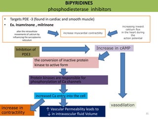 BIPYRIDINES 
phosphodiesterase inhibitors 
• Targets PDE -3 (found in cardiac and smooth muscle) 
• Ex. Inamrinone , milrinone 
alter the intracellular 
movements of calcium by 
influencing the sarcoplasmic 
reticulum 
increasing inward 
calcium flux 
in the heart during 
the 
action potential 
increase myocardial contractility 
Inhibition of 
PDE3 
Increase in cAMP 
the conversion of inactive protein 
kinase to active form 
Protein kinases are responsible for 
phosphorylation of Ca channels 
increased Ca entry into the cell 
↑ Vascular Permeability leads to 
↓ in intravascular fluid Volume 
increase in 
contractility 
vasodilation 
35 
 